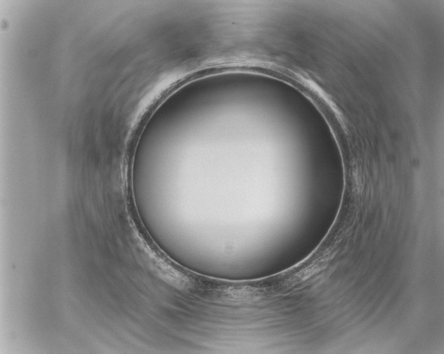 X0000059061416200510171928