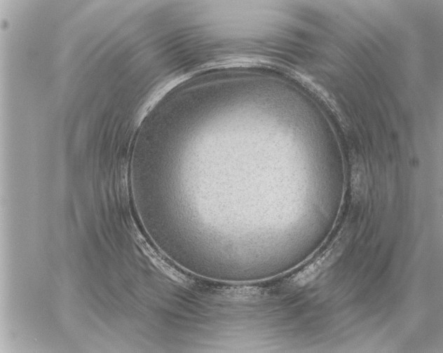 X0000059061417200510171928