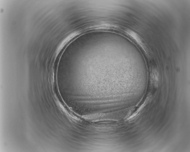 X0000059061418200510171928