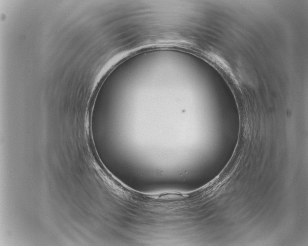 X0000059061420200510171928