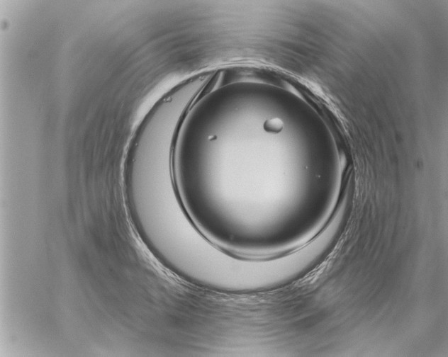 X0000059061422200510171928