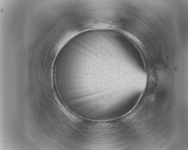 X0000059061423200510171928