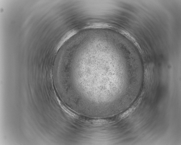 X0000059061425200510171928