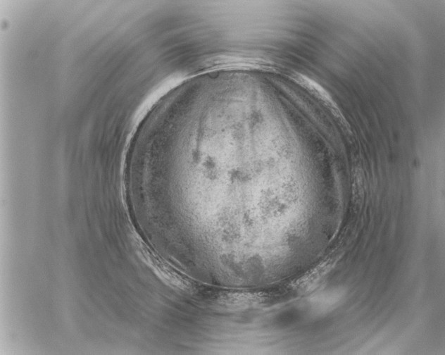 X0000059061427200510171928