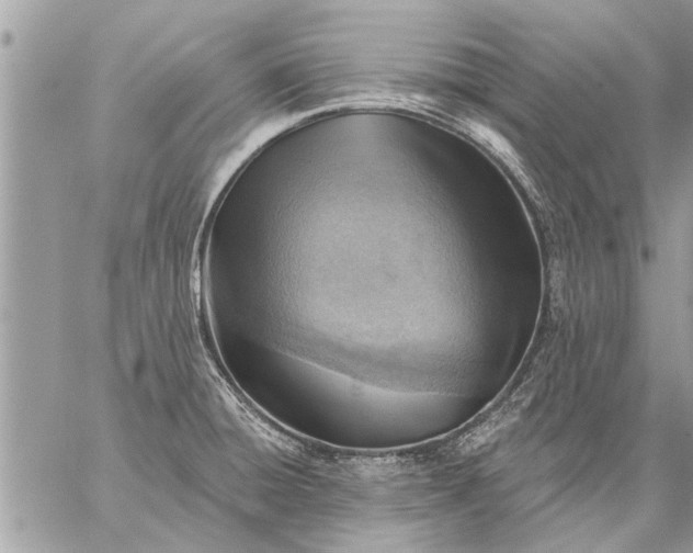 X0000059061428200510171928