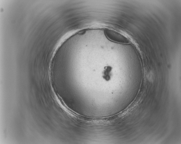 X0000059061429200510171928