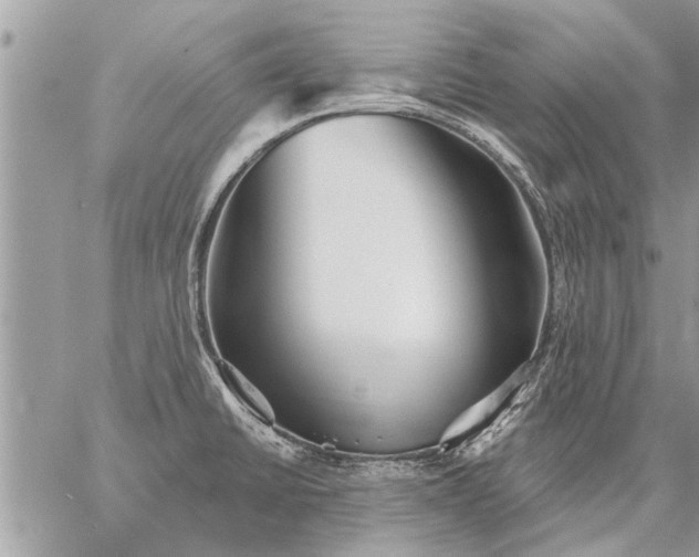 X0000059061430200510171928