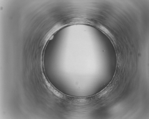 X0000059061431200510171928