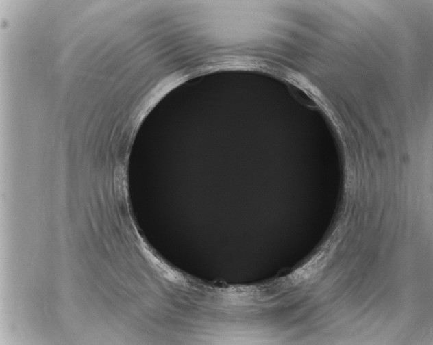 X0000059061433200510171928