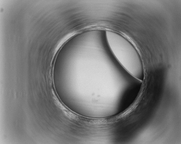 X0000059061434200510171928