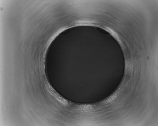 X0000059061435200510171928