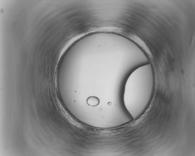 X0000059061436200510171928