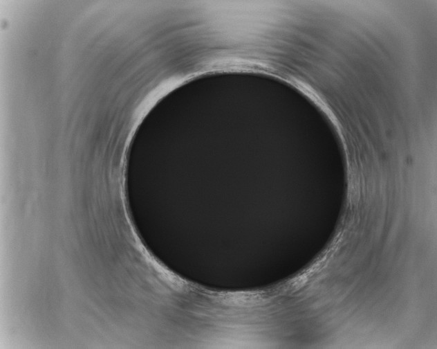 X0000059061437200510171928