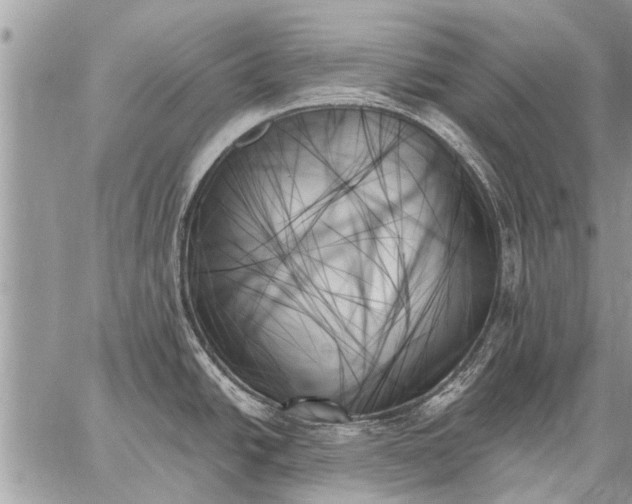 X0000059061438200510171928