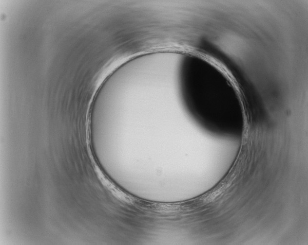 X0000059061439200510171928