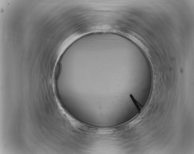 X0000059061440200510171928