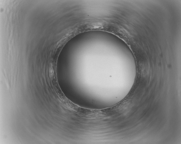 X0000059061442200510171927