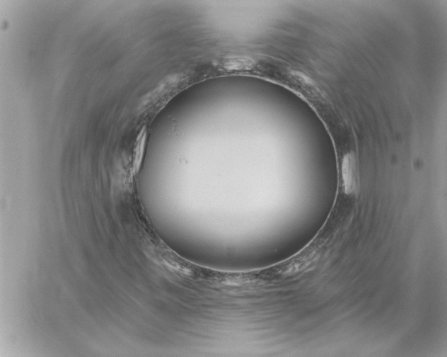 X0000059061443200510171927