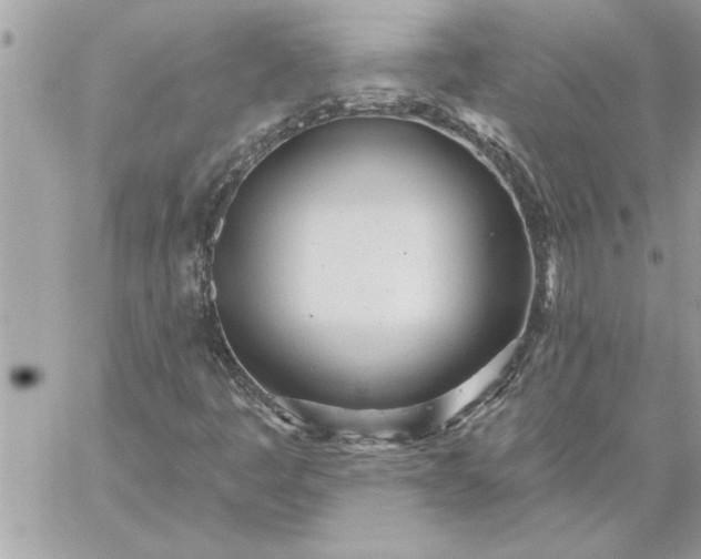 X0000059061445200510171927