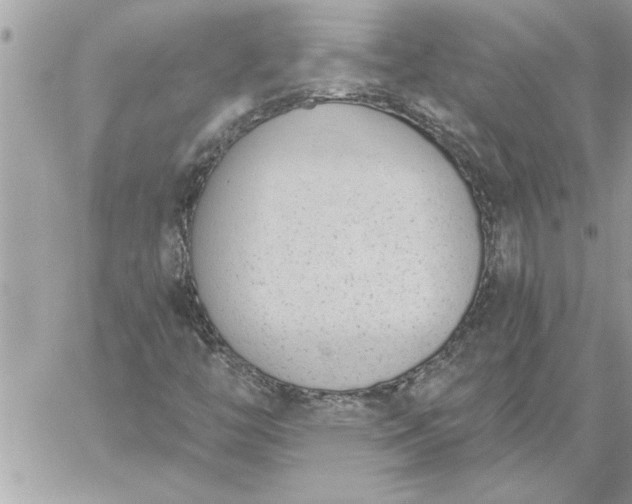 X0000059061446200510171927