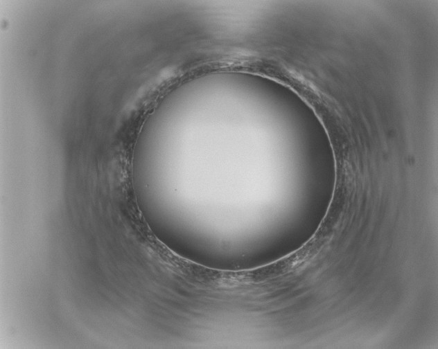 X0000059061447200510171927