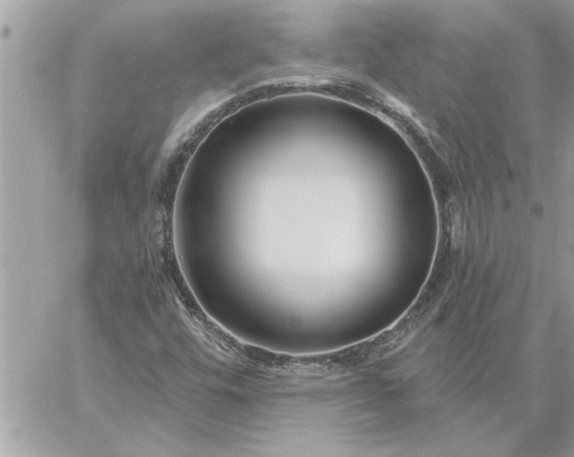 X0000059061448200510171927