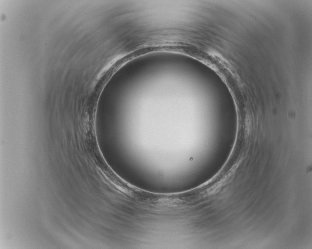 X0000059061449200510171927