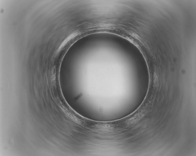 X0000059061450200510171927