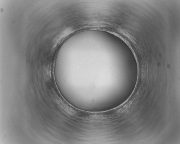 X0000059061451200510171927