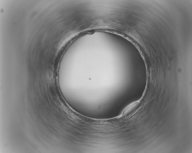 X0000059061452200510171927