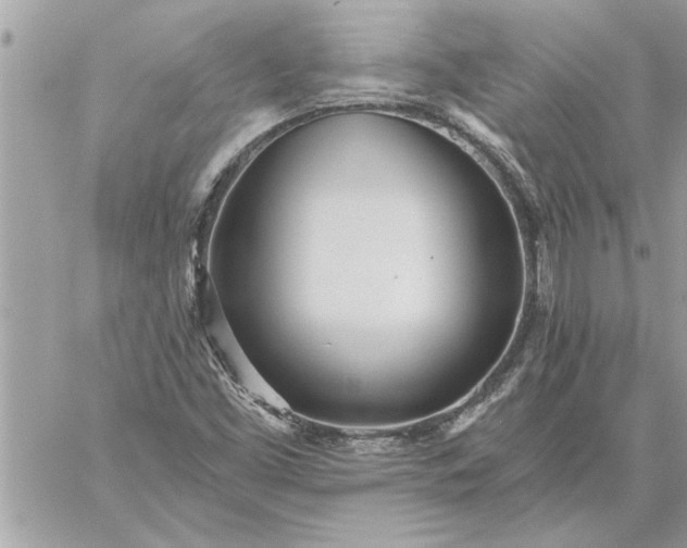 X0000059061453200510171927