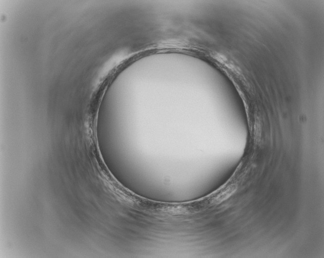 X0000059061454200510171927