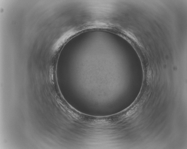 X0000059061455200510171927