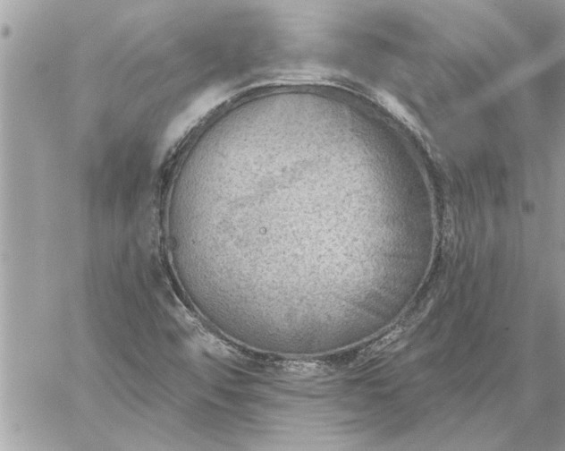 X0000059061456200510171927