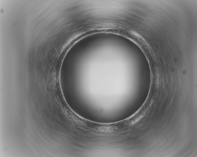 X0000059061457200510171927