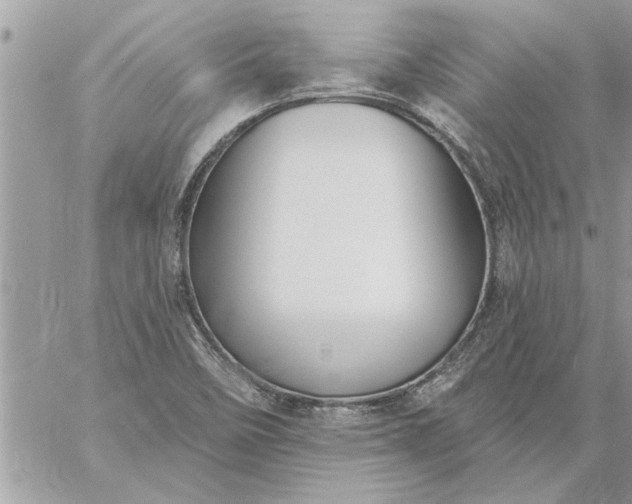 X0000059061458200510171927