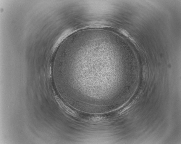 X0000059061459200510171927