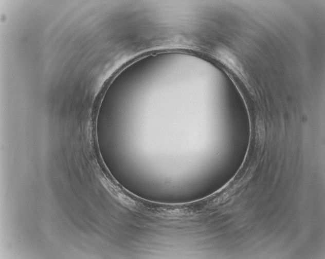 X0000059061460200510171927