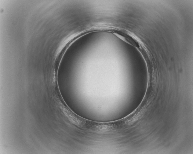 X0000059061461200510171927