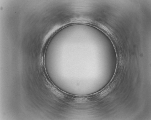 X0000059061462200510171927