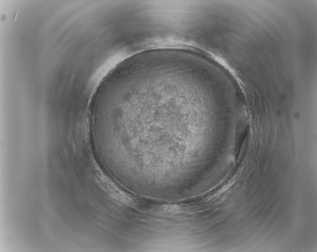 X0000059061463200510171927