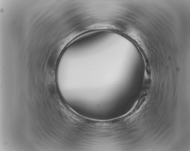 X0000059061465200510171927