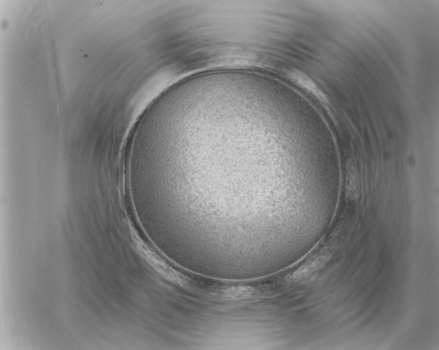 X0000059061467200510171927