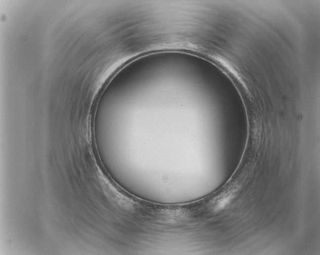 X0000059061468200510171927