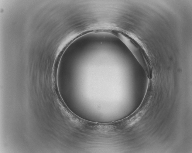 X0000059061469200510171927