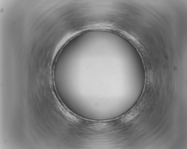 X0000059061470200510171927