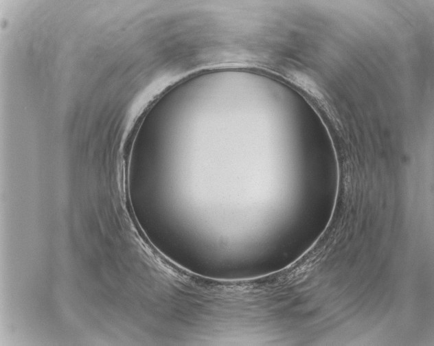 X0000059061472200510171927