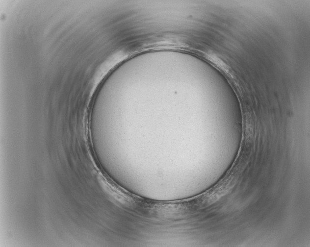 X0000059061474200510171927