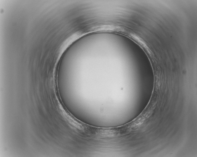 X0000059061475200510171927