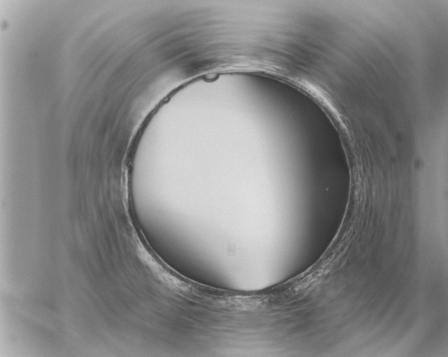 X0000059061476200510171927